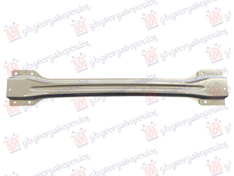 SINA ZADNJEG BRANIKA